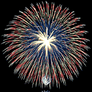 shell with pistil and stamen